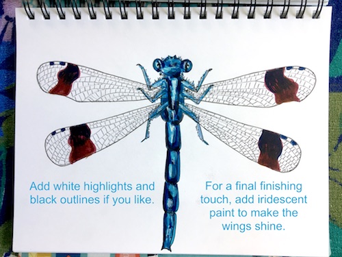 It's Wonder Wednesday 71! Click to learn how to step by step draw a damsel fly the Wings, Worms, and Wonder way!