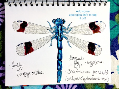 It's Wonder Wednesday 71! Click to learn how to step by step draw a damsel fly the Wings, Worms, and Wonder way!