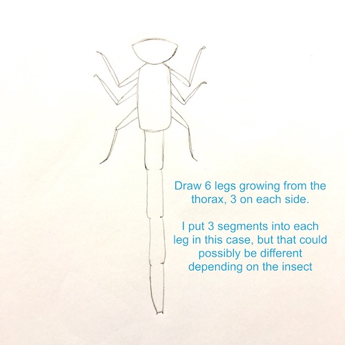 It's Wonder Wednesday 71! Click to learn how to step by step draw a damsel fly the Wings, Worms, and Wonder way!