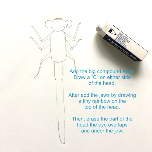 It's Wonder Wednesday 71! Click to learn how to step by step draw a damsel fly the Wings, Worms, and Wonder way!