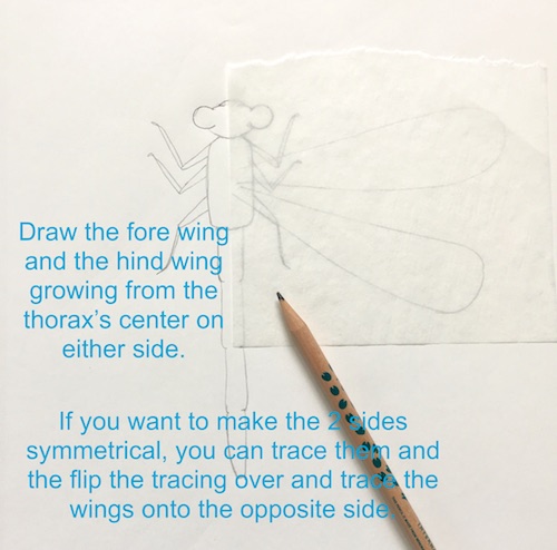 It's Wonder Wednesday 71! Click to learn how to step by step draw a damsel fly the Wings, Worms, and Wonder way!