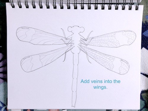 It's Wonder Wednesday 71! Click to learn how to step by step draw a damsel fly the Wings, Worms, and Wonder way!