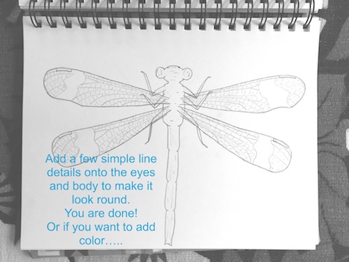 It's Wonder Wednesday 71! Click to learn how to step by step draw a damsel fly the Wings, Worms, and Wonder way!