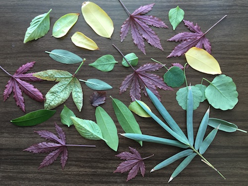 Play with seasonal leaves and paint resist techniques in this Wonder Wednesday 74 Leafy Resist nature art activity!