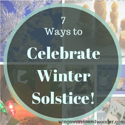 Click for Wonder Wednesday ideas for getting cozy and making your own Spiced Solstice drink - right from the tropics to warm you up!