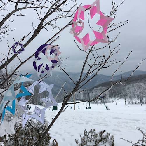 Why do snowflakes have 6 points? Click to learn why and how to make your own 6 sided snowflakes the Wings, Worms, and Wonder way!