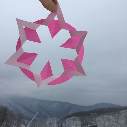 Why do snowflakes have 6 points? Click to learn why and how to make your own 6 sided snowflakes the Wings, Worms, and Wonder way!