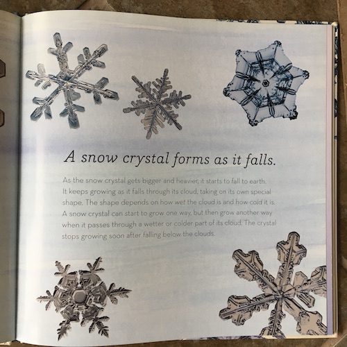 Why do snowflakes have 6 points? Click to learn why and how to make your own 6 sided snowflakes the Wings, Worms, and Wonder way!