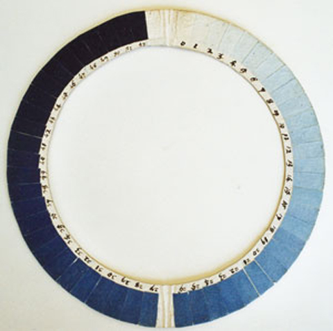Create your own cyanometer and track blue skies throughout the seasons in your nature journal! Click to make your own with Wings, Worms, and Wonder and discover what blue sky wonders reveal themselves to you over time!