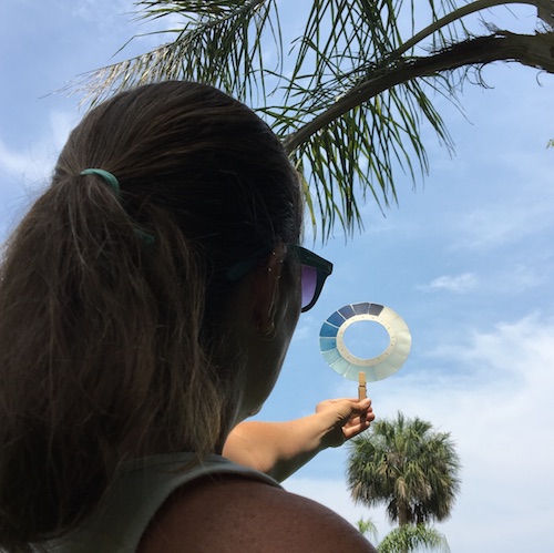 Create your own cyanometer and track blue skies throughout the seasons in your nature journal! Click to make your own with Wings, Worms, and Wonder and discover what blue sky wonders reveal themselves to you over time!