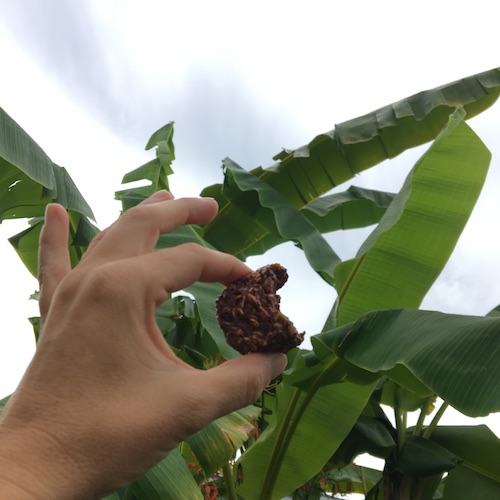 See the sublime beauty of severe weather the Wings, Worms, and Wonder way! Click to get your Wonder Wednesday activity recipe for tasty nature danger fun!