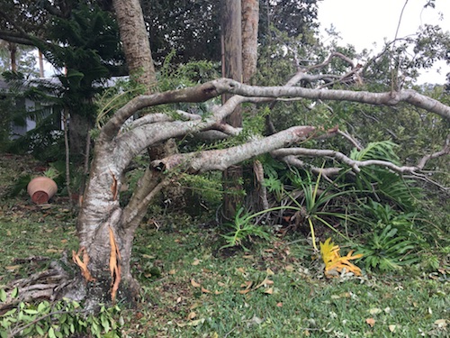 See the sublime beauty of severe weather the Wings, Worms, and Wonder way! Click to get your Wonder Wednesday activity recipe for tasty nature danger fun!