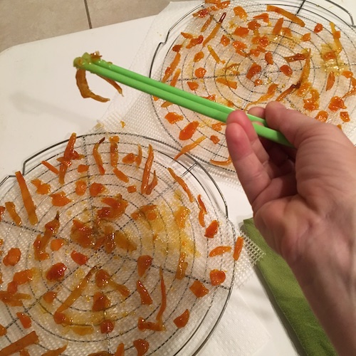 This Wonder Wednesday candy citrus peels! Click to get a Wings, Worms, and Wonder recipe and ideas for incorporating citrus into your winter celebrations!