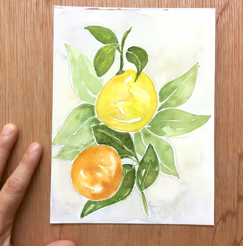 Citrus Season tradition, stories, and inspired gifts to brighten your days! Click here for the Wings, Worms, and Wonder scoop on citrus!