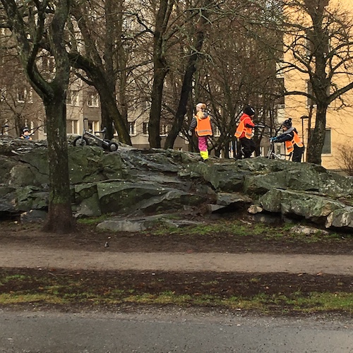 Swedish winter life, acting with grace, climate action, and a personal message from Greta! Click to discover them all in this Wings, Worms, and Wonder post!