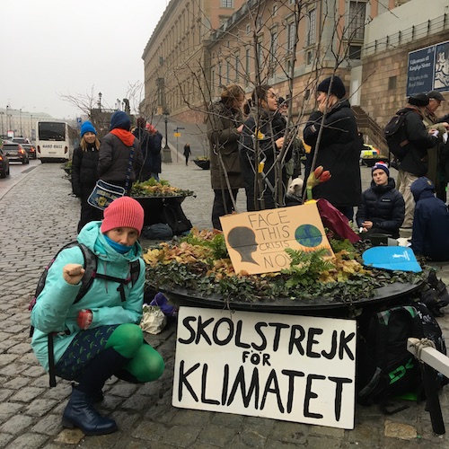 Swedish winter life, acting with grace, climate action, and a personal message from Greta! Click to discover them all in this Wings, Worms, and Wonder post!