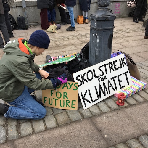 Swedish winter life, acting with grace, climate action, and a personal message from Greta! Click to discover them all in this Wings, Worms, and Wonder post!