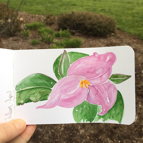 Kick off International Nature Journaling Week with a nature journal prompt snapper! Click for the Wings, Worms, and Wonder project and template!