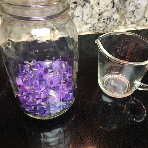 Make your own wild violet syrup in this week's Wonder Wednesday 94 activity! Click to get the Wings, Worms, and Wonder recipe!