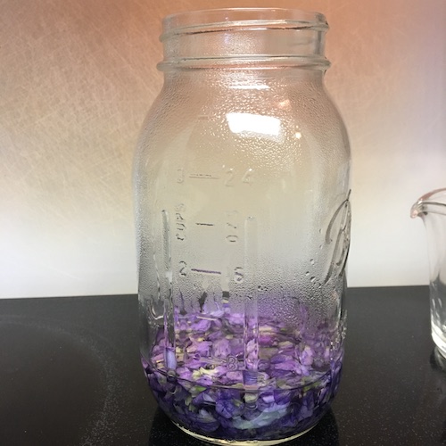 Make your own wild violet syrup in this week's Wonder Wednesday 94 activity! Click to get the Wings, Worms, and Wonder recipe!