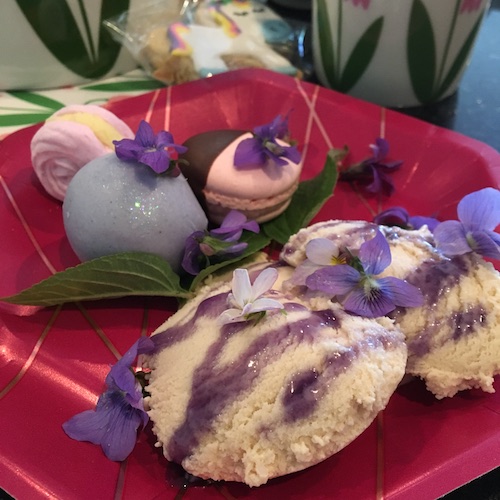 Make your own wild violet syrup in this week's Wonder Wednesday 94 activity! Click to get the Wings, Worms, and Wonder recipe!