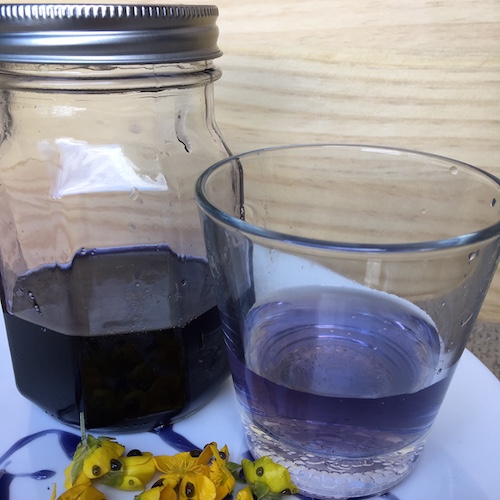 Make your own wild violet syrup in this week's Wonder Wednesday 94 activity! Click to get the Wings, Worms, and Wonder recipe!
