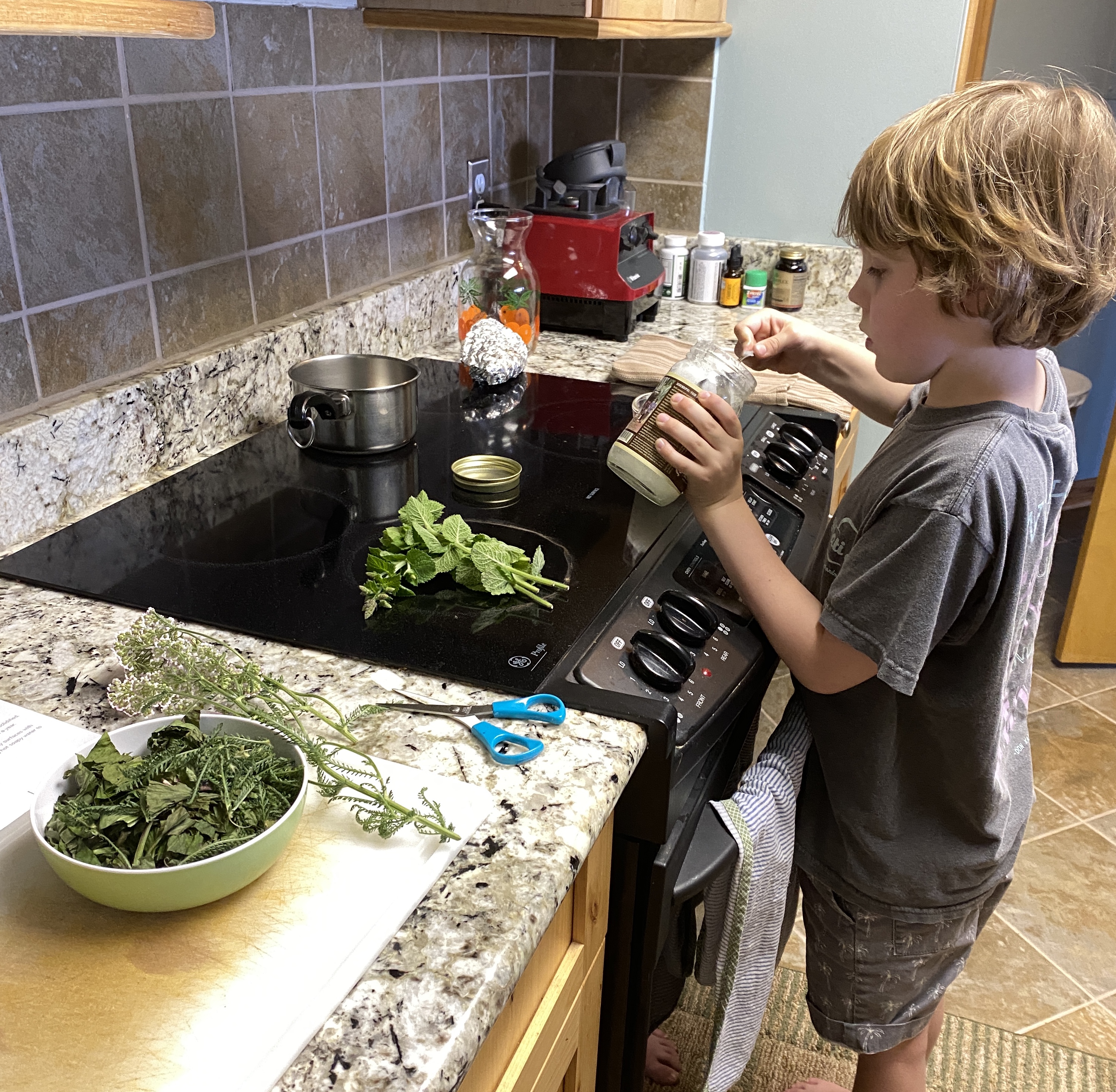 Let's celebrate Plantain herb by making a Wings, Worms and Wonder first-aid summer salve! Click to learn more about this herb and get the easy recipe!