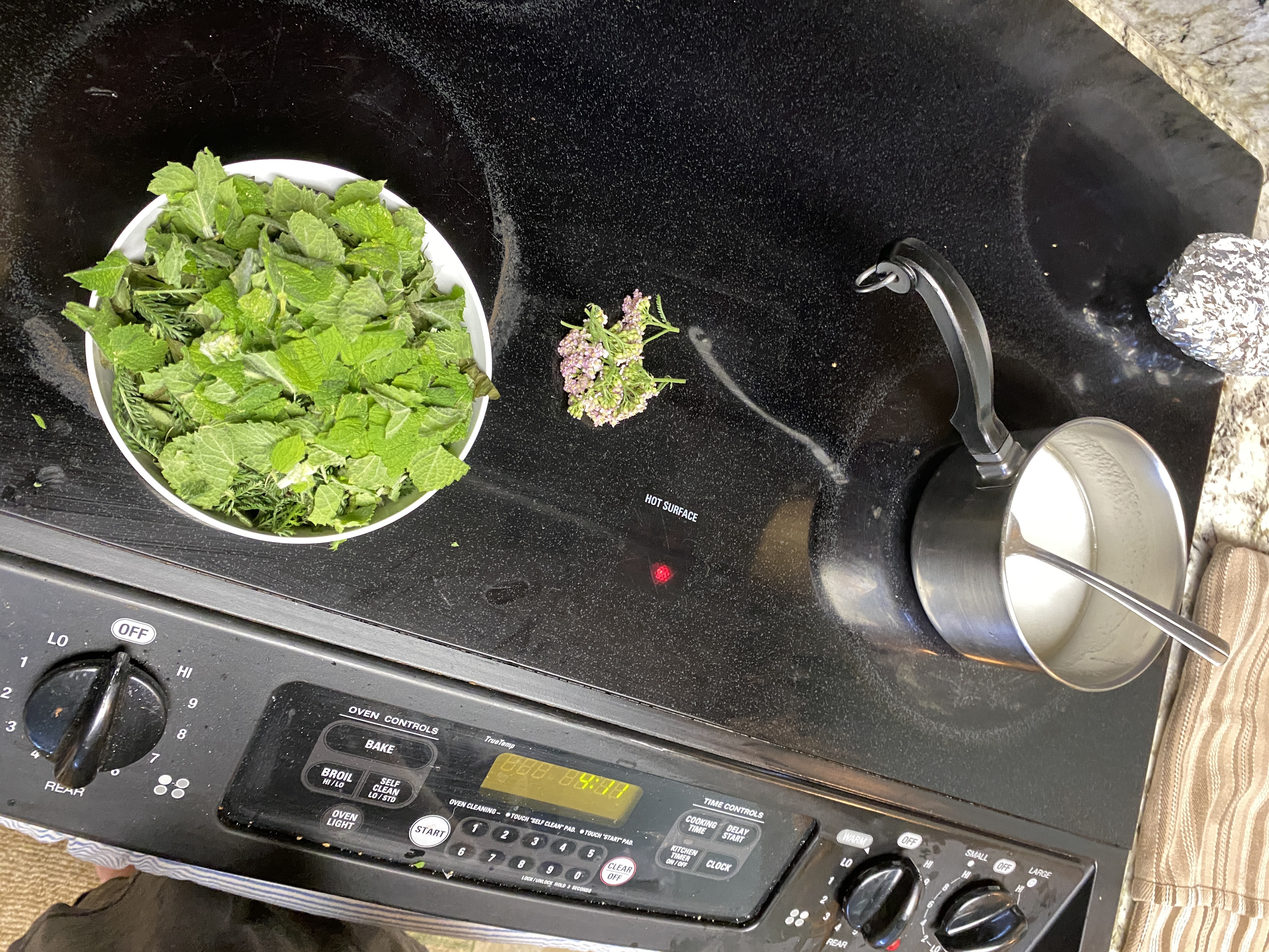 Let's celebrate Plantain herb by making a Wings, Worms and Wonder first-aid summer salve! Click to learn more about this herb and get the easy recipe!