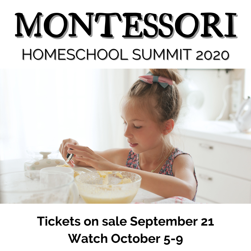 Join Wings, Worms, and Wonder in the 2020 Montessori Homeschool Summit! Click to learn more and register!