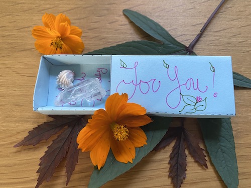 It's the 100th Wonder Wednesday activity! Click to Join Wings, Worms, and Wonder in making & scattering benevolence boxes to spread like seeds of kindness!