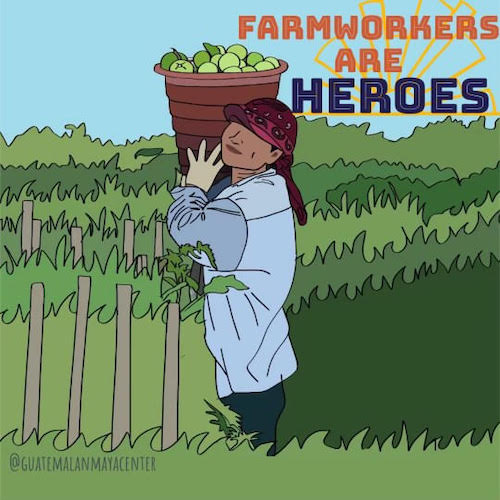 Celebrate Farmworker Awareness Week, start sprouts of your own! Click to learn more and join Wings, Worms, and Wonder in supporting farmworkers all year!