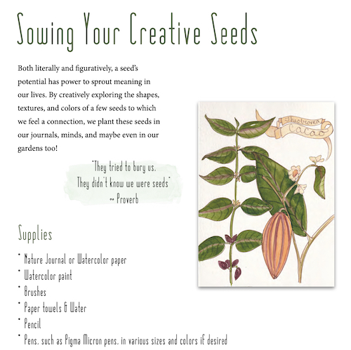 Draw Yourself Back to Nature the book is the perfect guide for everyone seeking to connect with nature through art and creativity! Regardless of experience this Wings, Worms, and Wonder step by step project based book will guide you on your nature journaling journey! Click to learn more and get your copy!